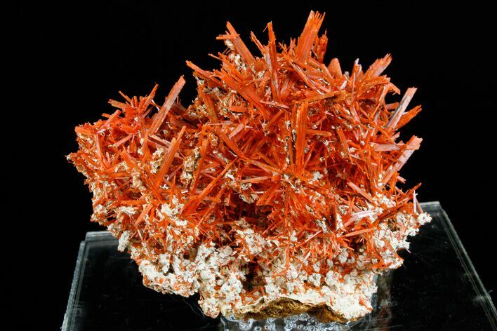 Vibrant Orange Crocoite Crystal Cluster - Stunning Specimen! #182743